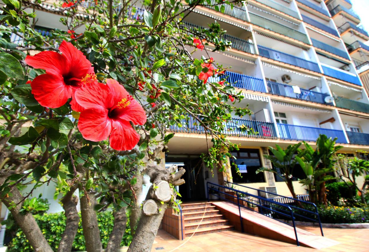 Apartament Expoholidays - Apartamento Crucero Aguadulce  Zewnętrze zdjęcie